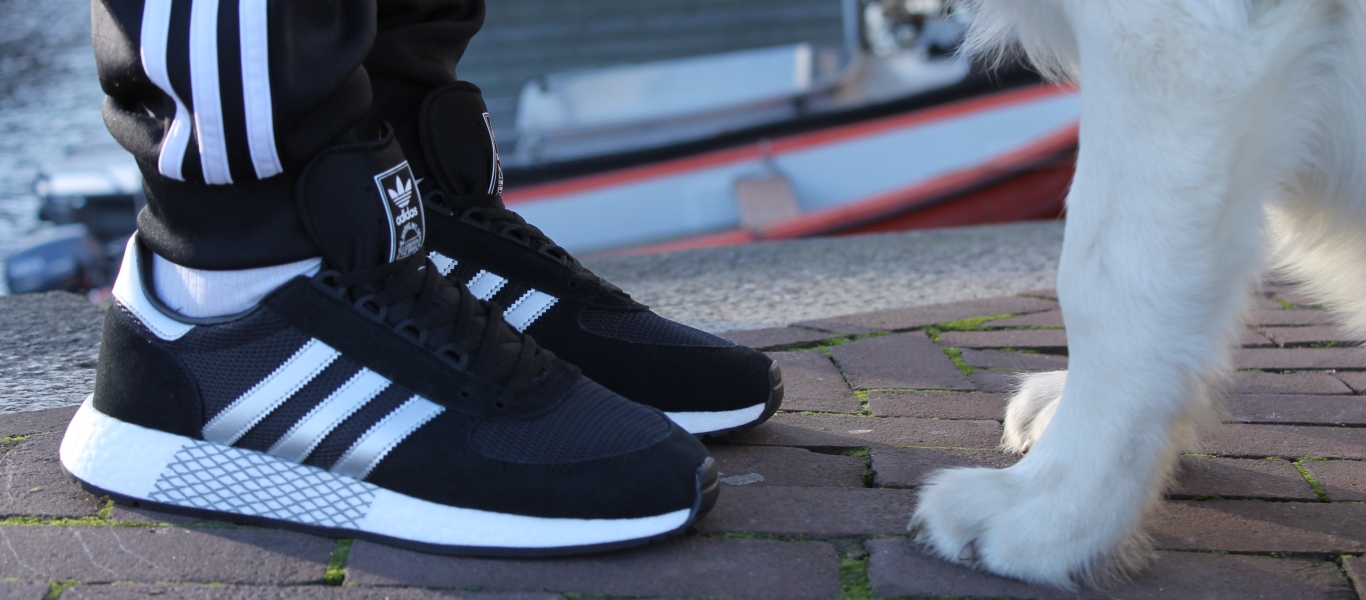 Anprobiert: adidas Marathon x 5923 mit Hund